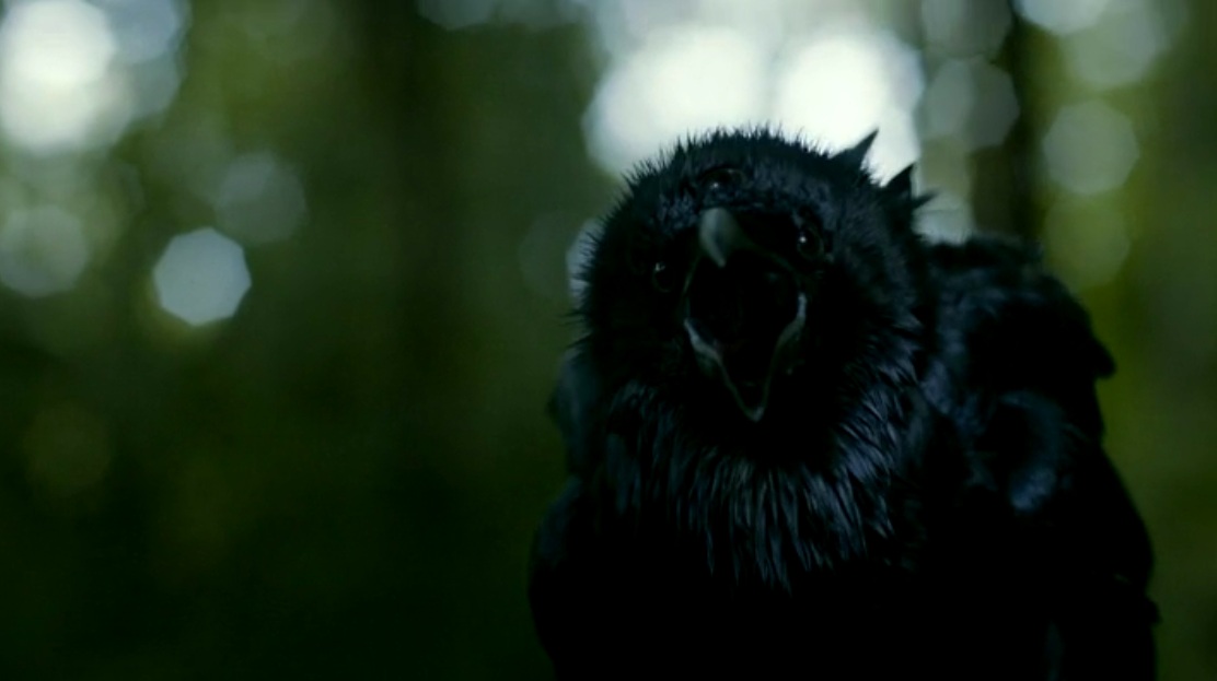 Il corvo a tre occhi
